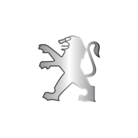 Picture for category Peugeot Seat Covers